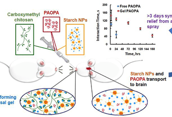 J Control Release：通過鼻腔噴入的給藥方法有望減輕抗精神病藥物的副作用