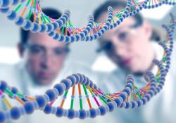 噴鼻治療癲癇反復發作！Neurelis公司Valtoco（地西泮鼻腔噴霧劑）在美國進入正式審查